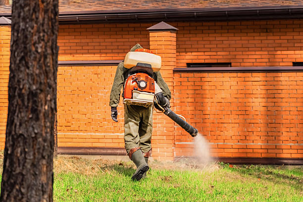 Trusted Ant Control service in Nashua, IA - Nex Pest Control